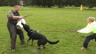 PAX   protection bite work 2