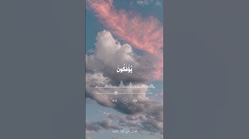 الله يبسط الرزق لمن يشاء من عباده - اسلام صبحي - سورة العنكبوت