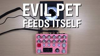 EVIL PET Granular Synth Feeds Itself, Ambient Exploration