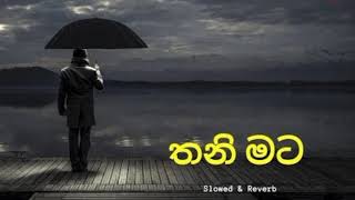 Thani Mata [තනි මට] Slowed + Reward Song Sinhala