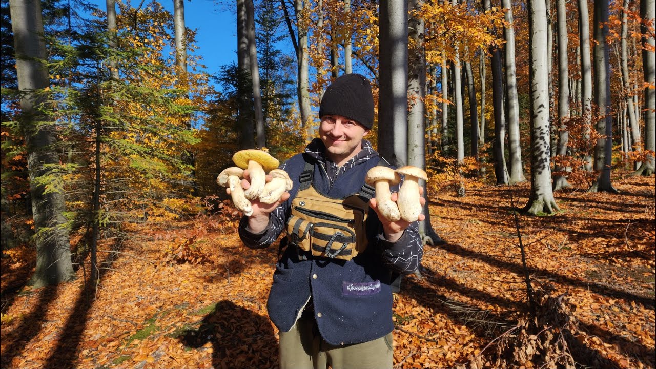 НЕ ПОВІРИШ, ПОКИ НЕ ПОБАЧИШ! ГРИБИ ЯК З ІНШОГО СВІТУ 😳”СЕЛЯНИН 2025.БІЛІ ГРИБИ 2025
