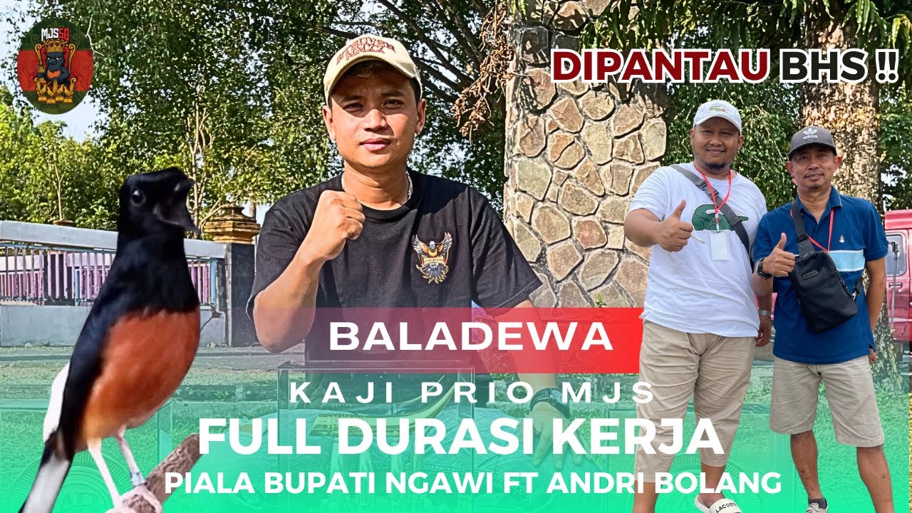 Murai Batu BALADEWA - Full Durasi | Mental Lawan Murai Nasional gak kendor | PIALA BUPATI NGAWI 