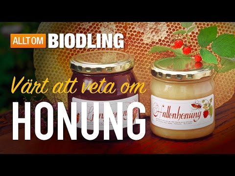 Video: Hur Man Vet Om Honung är Naturlig