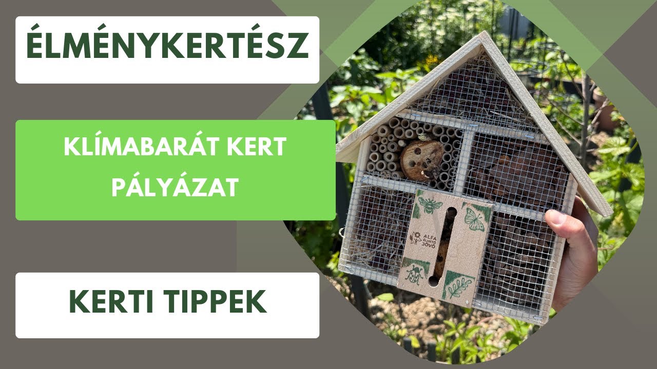 Így lehet a kerted klímabarát és még nyerhetsz is!🏡 Élménykertész tippek