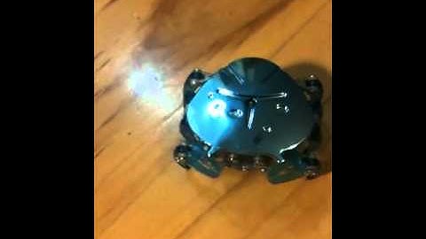 Hex bug crab review
