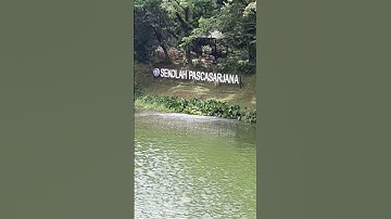 Danau Pascasarjana IPB #bogor #jawabarat #music #indonesia #jabar #danau #lake #travel #viral #facts