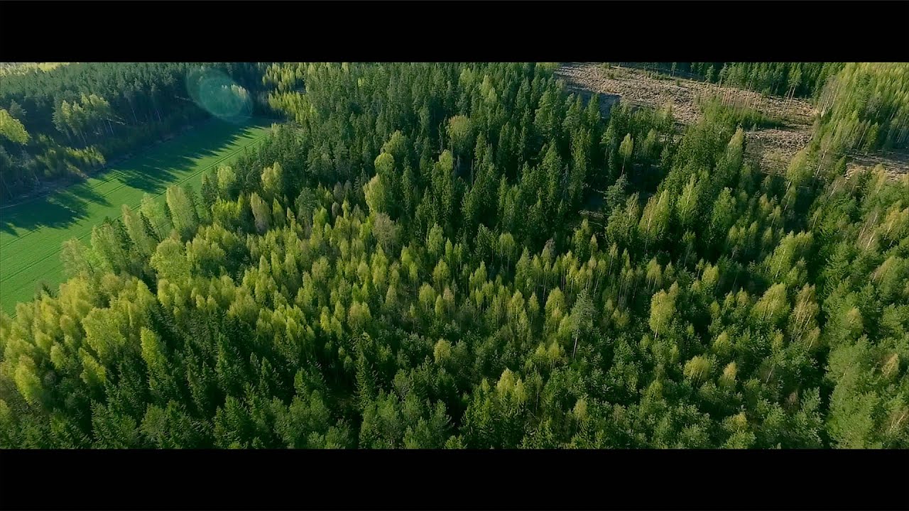 Skandinavian pronssikauden asuinpaikka