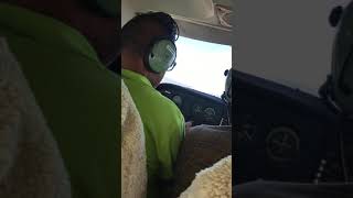 IMG 8355