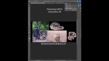 Photoshop BETA| Generative Fill