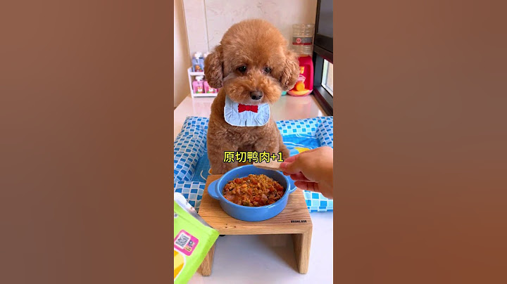 小狗狗很简单！一颗我吃剩的蛋黄就能满足 #阔爱炸了 #干饭狗的日常 #安静的布丁妹妹