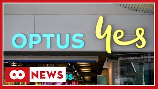 Optus criticised for not taking cyber security 'seriously enough' in the wake of hack