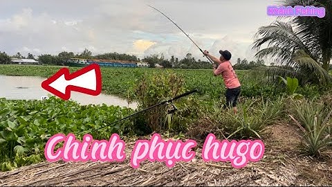 Câu cá tra sông P22| chinh phục hugo sông cái lớn- Khánh Fishing #fishing #khanhfishing#fish