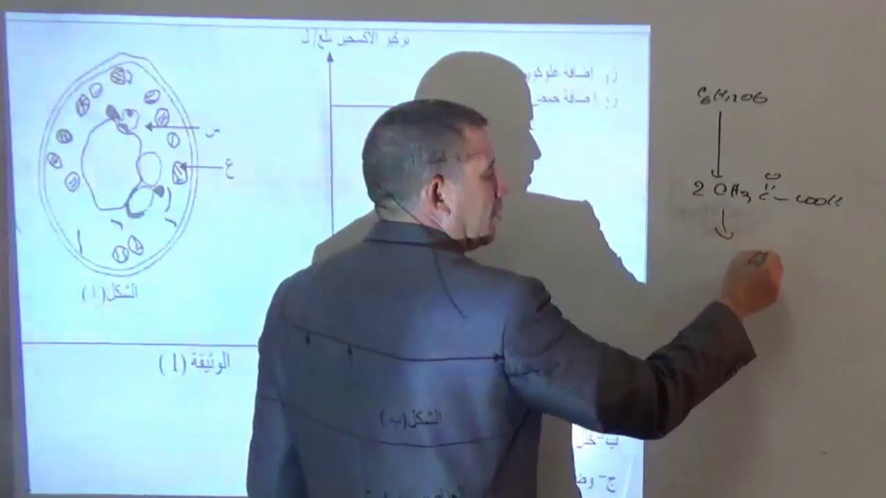 حل تمارين بكالوريا حول التنفس