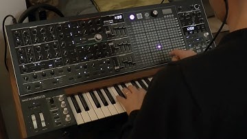 Arturia MatrixBrute #3 First View Session - Preset zapping and playing