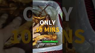 Why You Must Clean Driftwood Before Adding It To Your Tank