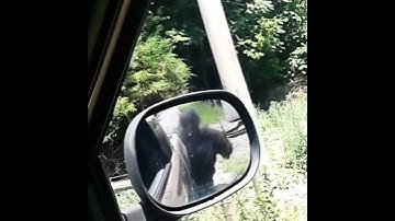 2002 Dodge cummins smarty S03