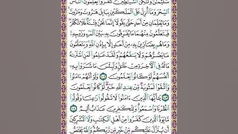 صفحة ١٦ القرآن الكريم سورة البقرة الشيخ محمد صديق المنشاوي Quran karim Al  Baqra  page 16