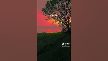 سورة الإخلاص بصوت جميلة #اكسبلور #لايك