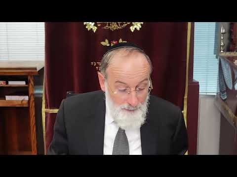 Amud Yomi Masechet Pesachim Daf 28B