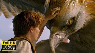 Fantastic Beasts Where To Find Them (2016) Suitcase Scene (Part-1)  II Best Movie Scene