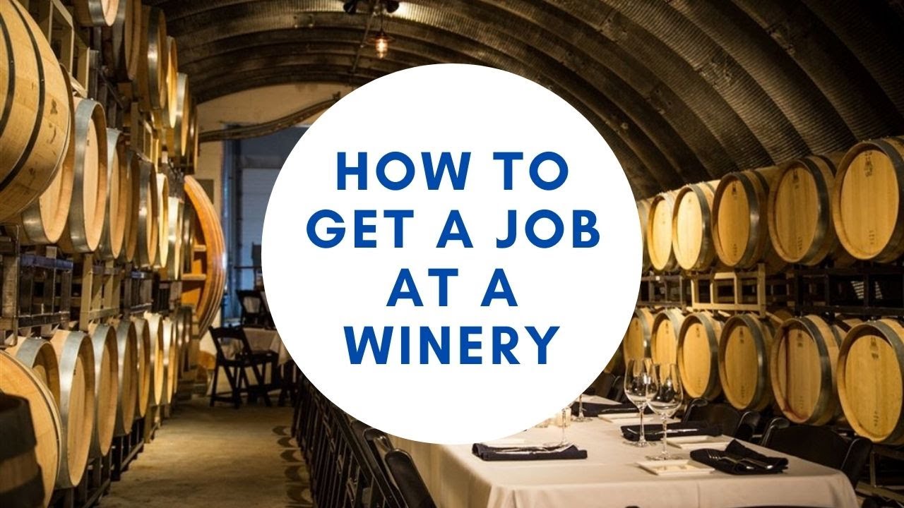 winery tour jobs