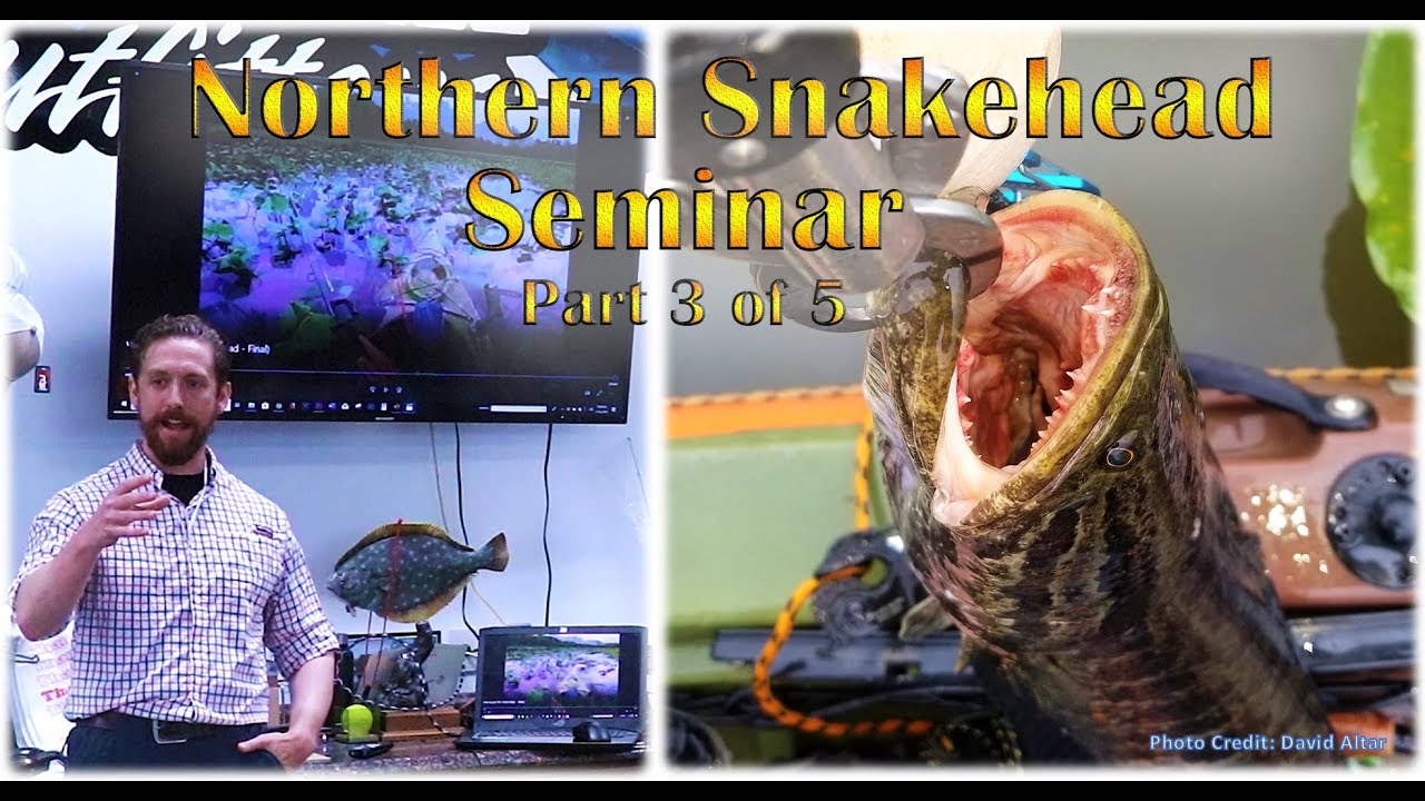 Northern Snakehead Seminar, Part 3 of 5, Island Tackle Outfitters - YouTube