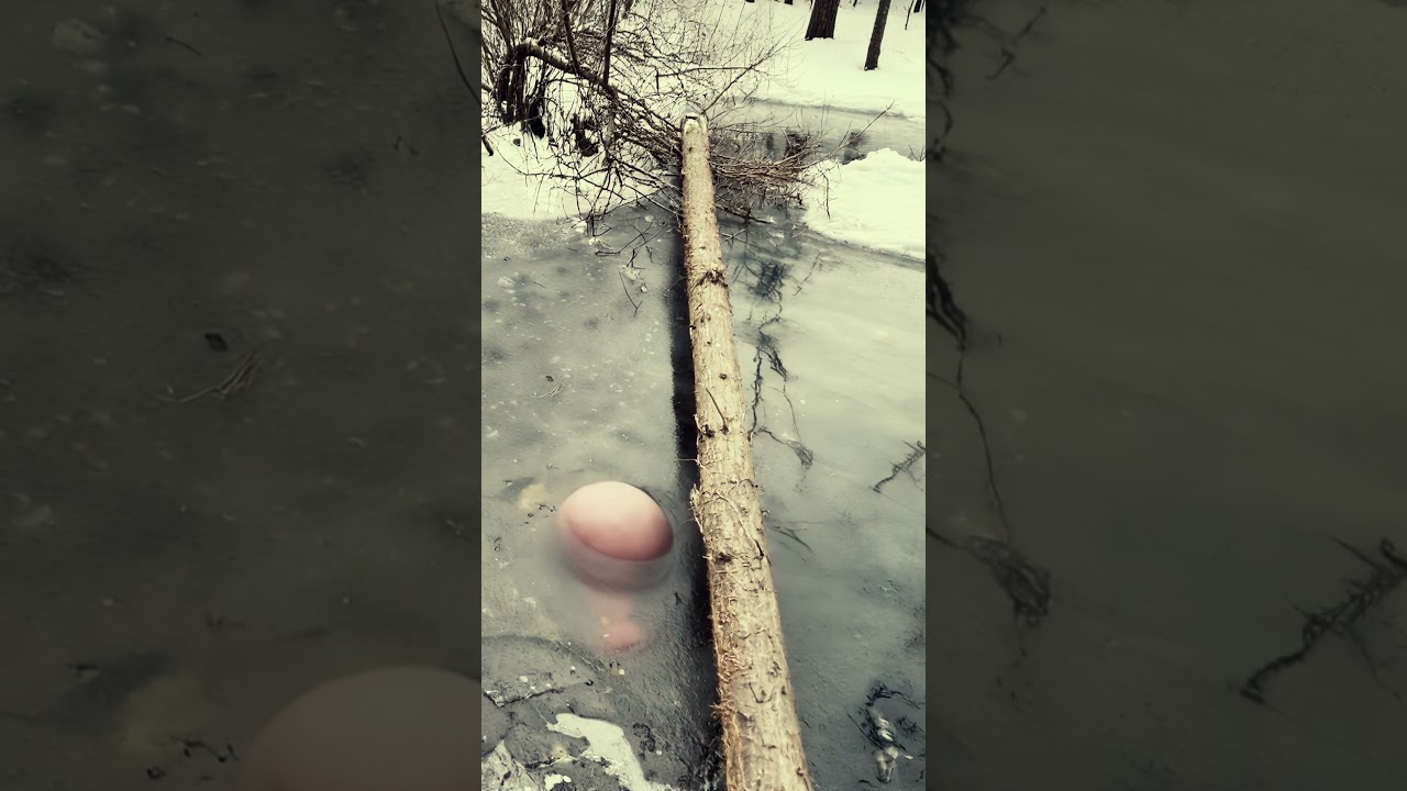 Ice should be solid, right? ❄️ So why is something trying to get out? 😳