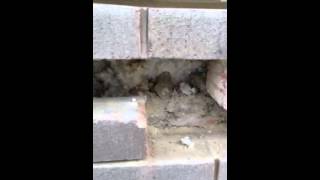 Cavity wall tie corrosion on a 1970's house