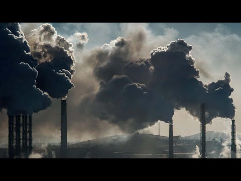 Видео: Будааны дэлбэрэлт гэж юу вэ – Цагаан будааны мөөгөнцрийг таних, урьдчилан сэргийлэх зөвлөмжүүд