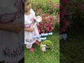 সময় মানুষকে অনেক বড় শিক্ষা দিয়ে যায়। #minivlog #home #flower #gardening  #learn