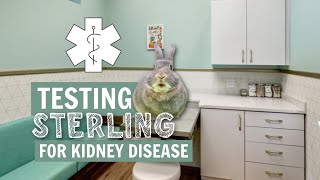 Testing Sterling for Kidney Disease 😰 by 101Rabbits 4,772 views 1 year ago 14 minutes, 5 seconds