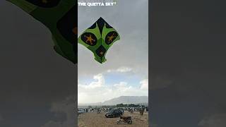 Beautiful kite fly😍|Big kites|😱❤️❤️🪁 #viralshort #kite #foryou