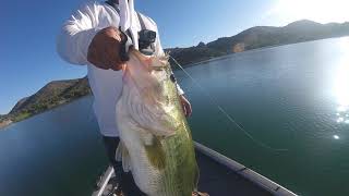 New Mexico Southwest Bass fishing with Marty using Jigs in the mid summer 8.5lbs #PB #largemouthbass