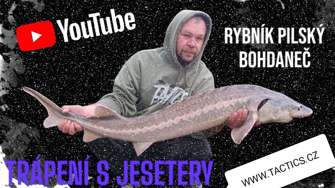 Rybník Pilský - Bohdaneč, TACTICS BAITS, JESETERI