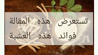 فوائد عشبة الاشواجندا @قناة فوائد الاعشاب