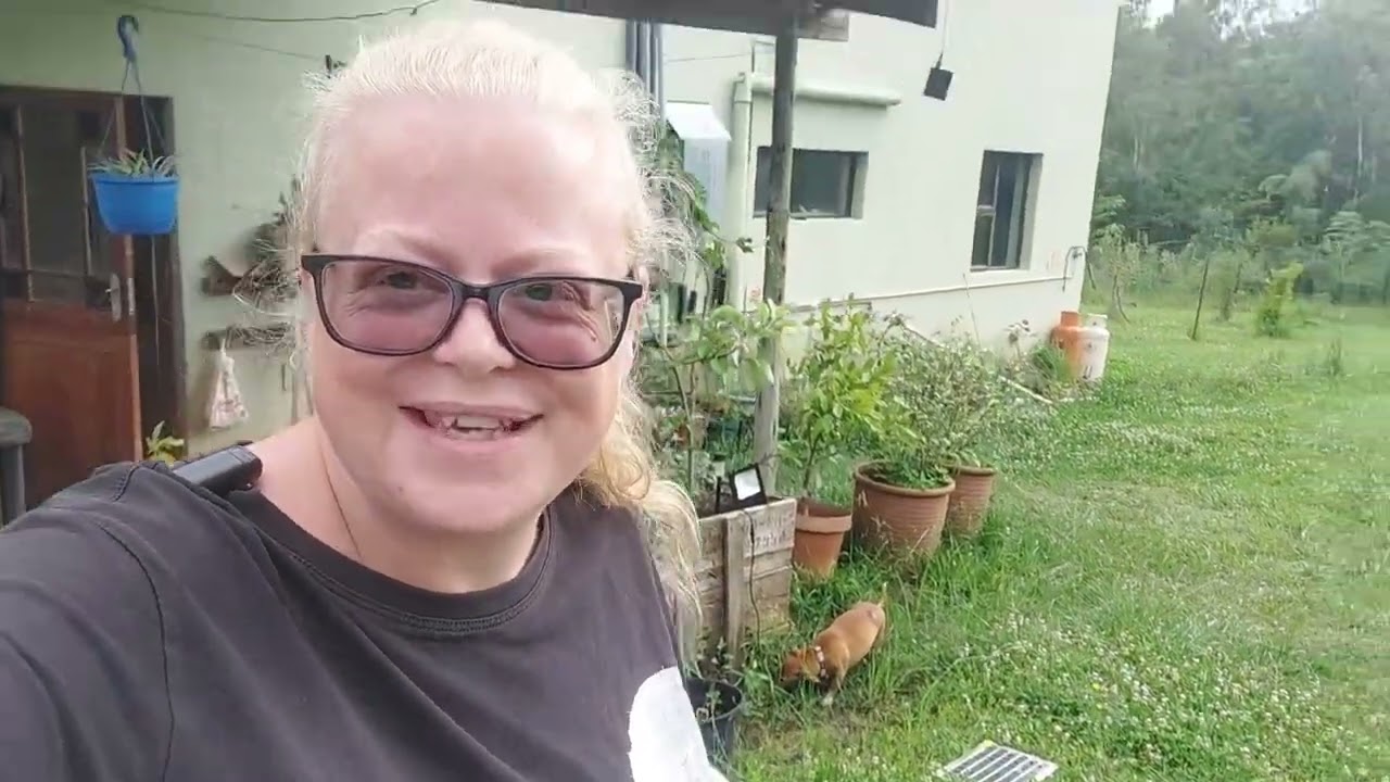 Garden Progress & Chicken Plans