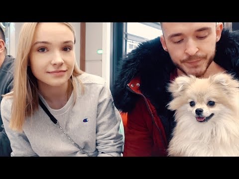 Video: Schopný pes týždňa - Shelby