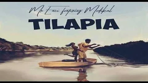 Mr  Eazi ft  Medikal – Tilapia OFFICIAL AUDIO 2017   YouTube