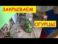 ЗАКРЫВАЕМ ОГУРЦЫ / ПРОСТОЙ РЕЦЕПТ / Закрутки на зиму / Семья в деревне