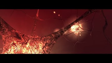 Sam Harris Hard Problem of Consciousness