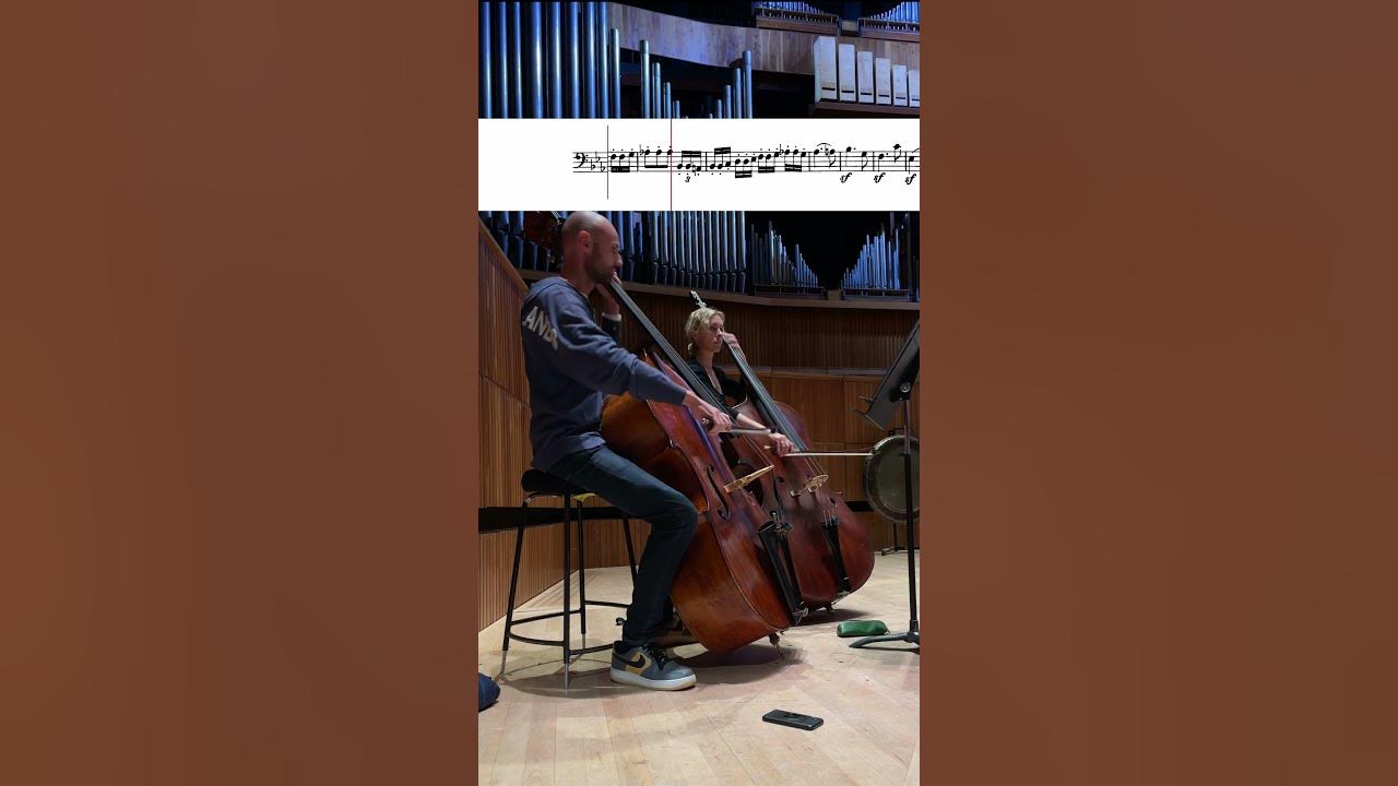 Beethoven: Symphony No. 3 – Double Bass Moment