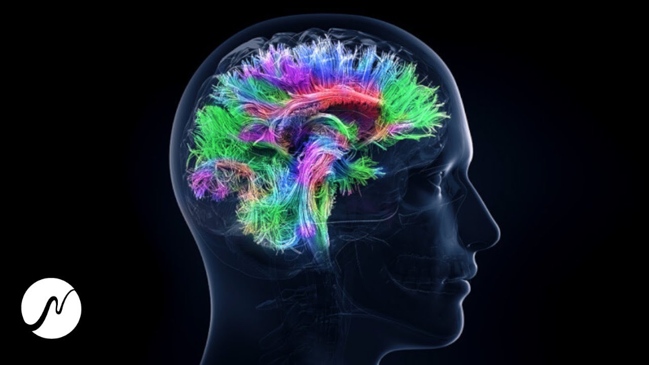  Update  100% Gehirn Potenzial aktivieren - Genie-Frequenz - Beta Wellen (Brainwaves)
