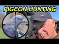 Pigeon hunting with my fx impact m3 and tracer pellets  pest control
