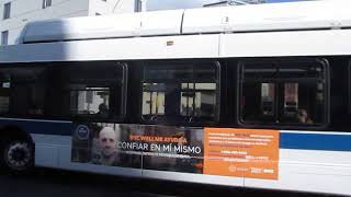 B37 bus at Bergen Street and 3rd Avenue