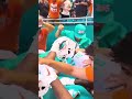 The Dolphins have too much time on their hands 😂