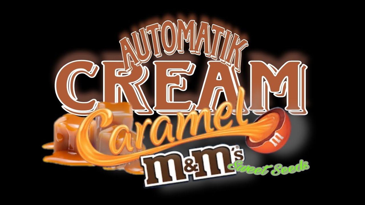 Cream Caramel Automatik SweetSeeds Timelaps 