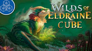 Wilds of Eldraine HOT TAKES - Top Cube Cards