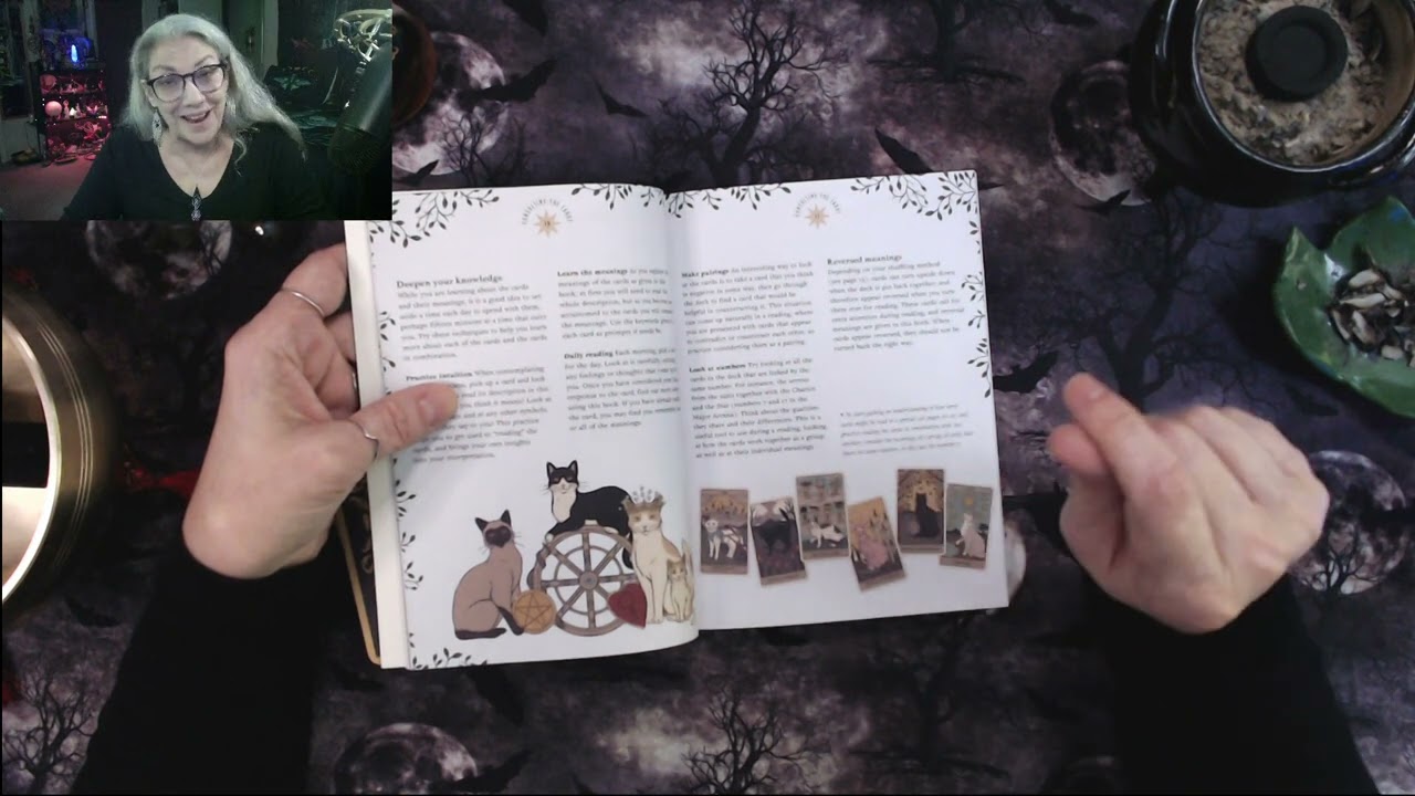 Cats Rule the Earth Tarot Deep Dive and Test Drive