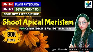 SHOOT APICAL MERISTEM (SAM) || CSIR NET || PLANT BIOLOGY