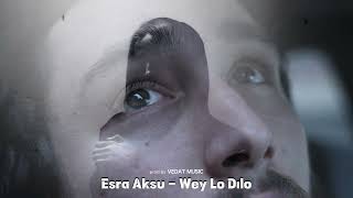 Esra Aksu - Wey lo dilo (Kurdısh Trap Remix) prod.by Vedat Music Resimi